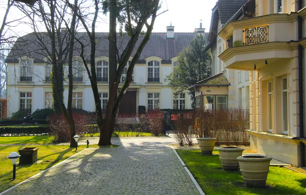 Park, alley, building