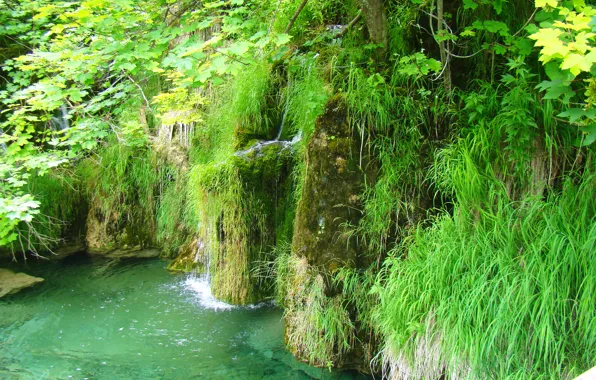 Зелень, вода, озеро, водопад, прозрачная, водоём, Хорватия, национальный парк