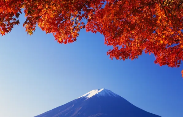 Картинка листья, снег, япония, гора, красные