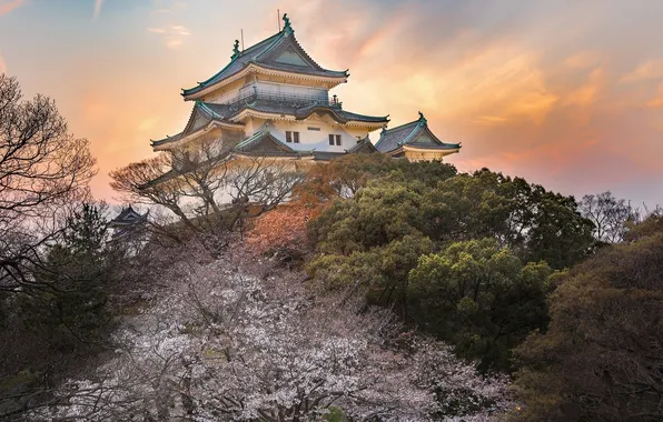 Japan, trees, sunset, Osaka, plants, building, Asia, outdoors