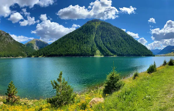 Лес, облака, горы, озеро, Альпы, Италия, Italy, Alps