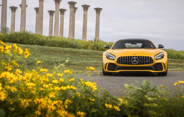 Mercedes-Benz, вид спереди, AMG, GT R, 2020
