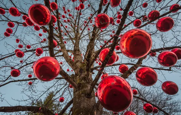 Шарики, дерево, шары, Рождество, красные, Новый год