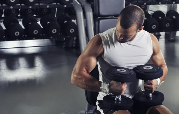 Поза, мышцы, тренировка, атлет, гантели, бицепс, fitness, бодибилдер