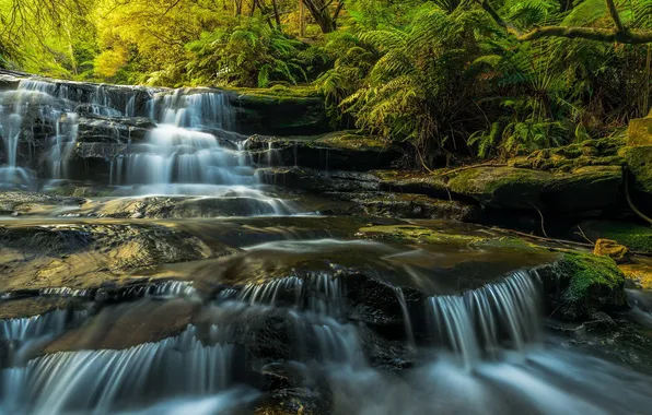 Картинка Australia, waterfalls, sunlight, long exposure, Blue Mountains, Leura Cascades
