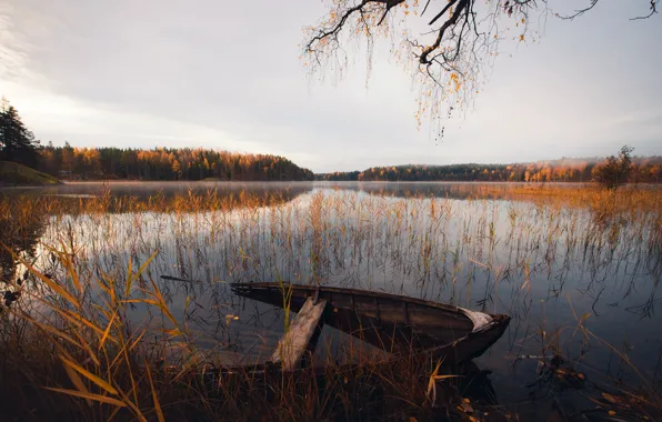 Картинка осень, озеро, лодка