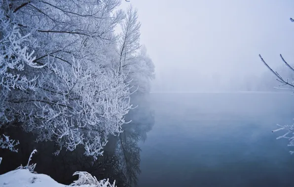 Картинка зима, снег, деревья, туман, озеро, мороз, Winter, trees