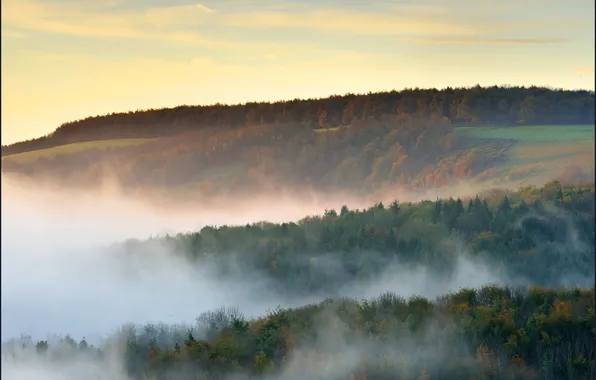 Картинка осень, лес, туман, холмы, вечер