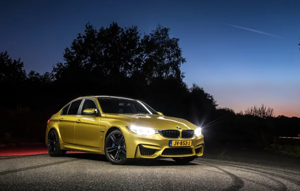 Car, BMW, car BMW