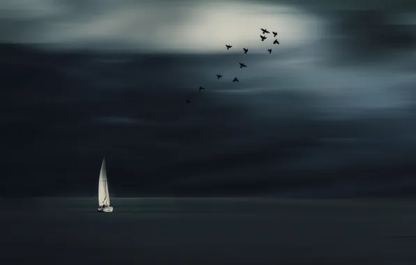 Картинка море, птицы, ночь, лодка