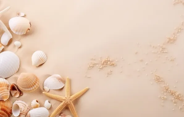 Песок, пляж, фон, ракушки, beach, texture, background, sand