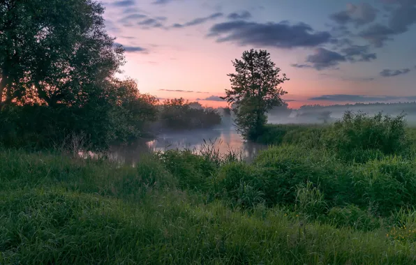 Картинка трава, деревья, закат, туман, река, вечер, Россия