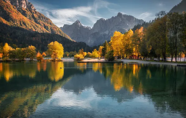 Осень, лес, солнце, деревья, горы, Словения, Lake Jasna, Ales Krivec