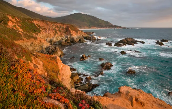 Картинка море, небо, облака, горы, камни, скалы, растение