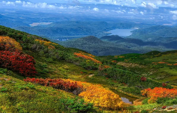 Осень, лес, горы, природа, панорамма