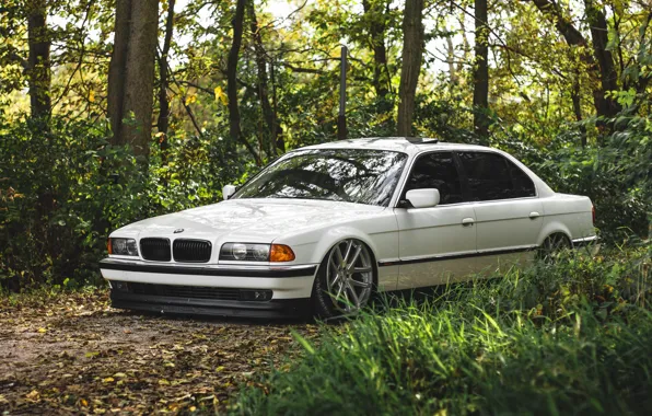 43 объявлений о продаже BMW 7 Series E38