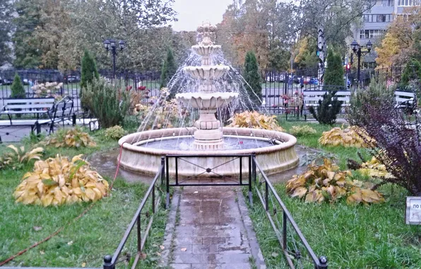 Осень, интерьер, фонтан, октябрь2024
