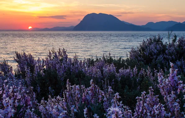 Картинка море, закат, цветы, горы, Греция, Greece, Ионические острова, Ионическое море