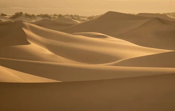 Песок, горы, природа, барханы, nature, sand, dunes, the mountains