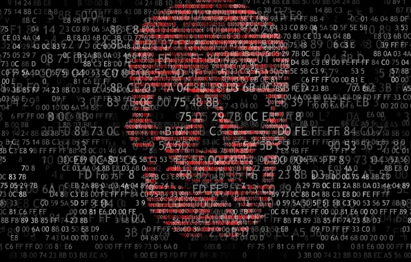 Skull, numbers, letters