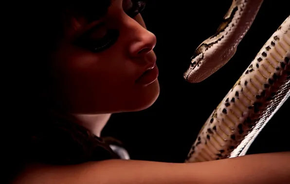 Snake, woman, reptile
