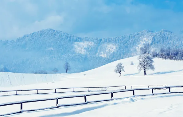 Картинка зима, дорога, снег, деревья, следы, холмы, перила