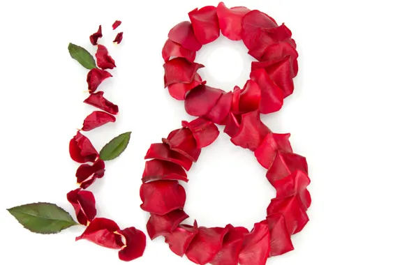 Розы, лепестки, красные, белый фон, листочки, 8 марта, поздравление, женский день