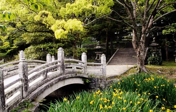 Пруд, парк, лестница, Japan, каменный мост