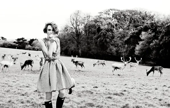 Картинка поле, Keira Knightley, олени, Vogue
