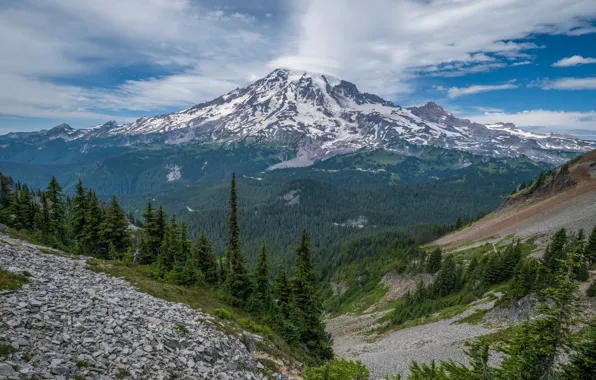 Картинка горы, США, парки, Mount Rainier National Park