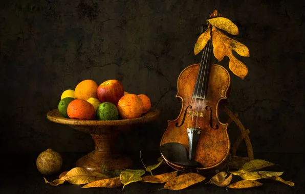 Картинка листья, скрипка, фрукты, Autumn Mood