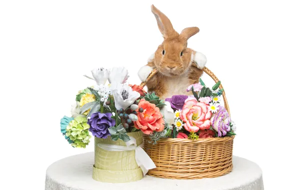 Цветы, корзина, кролик, Пасха, happy, rabbit, flowers, spring