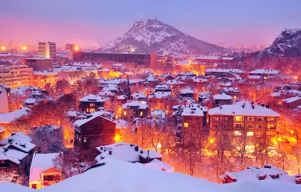 Картинка зима, свет, снег, деревья, город, lights, огни, гора
