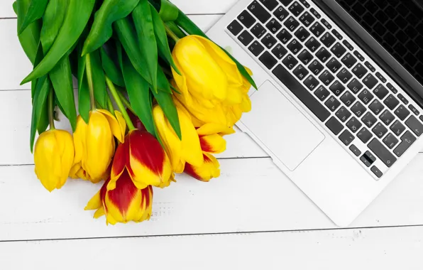 Картинка цветы, букет, colorful, тюльпаны, ноутбук, flowers, romantic, tulips