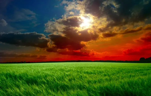 Картинка поле, небо, трава, солнце, облака, лучи, закат, тучи