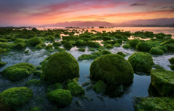Зелень, облака, водоросли, закат, горы, камни, берег, мох