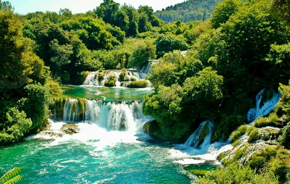 Картинка зелень, деревья, водопад, солнечно, Хорватия, Croatia, Krka National Park