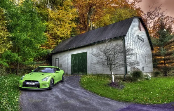 Картинка HDR, GTR, Japan, Nissan, Car, Wood, Green, Front