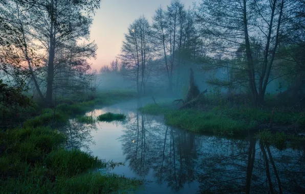 Небо, деревья, природа, туман, утро, Россия, речка, Anton Sadomov