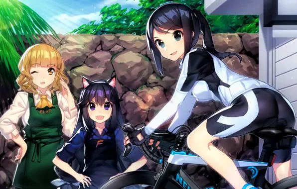 Girl, bike, anime, japanese, bishojo, friend, by sanoboss