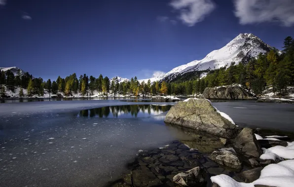 Картинка осень, снег, деревья, горы, озеро, Швейцария, кантон Граубюнден