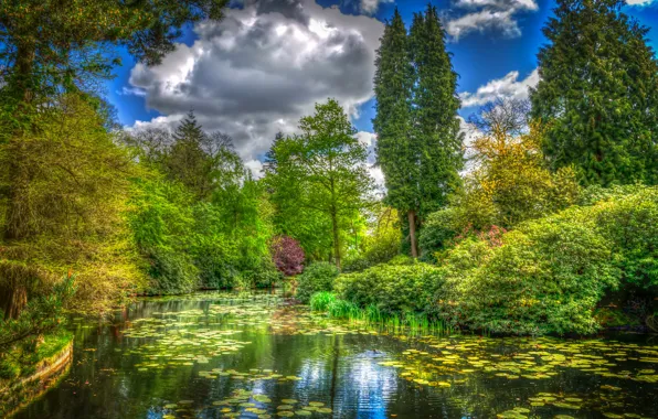 Зелень, небо, вода, облака, деревья, река, HDR