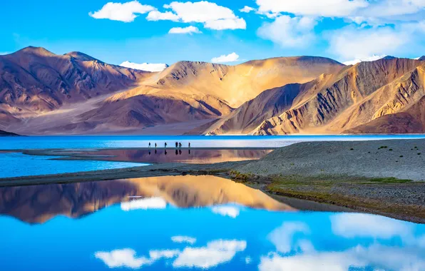 Landscape, nature, mountains, mountain, nepal, leh, leh ladakh