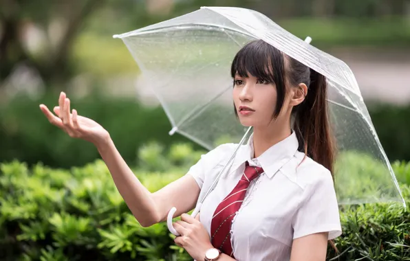 Девушка, зонтик, азиатка