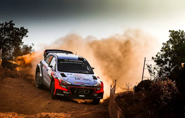 Картинка Пыль, Занос, Hyundai, WRC, Rally, i20