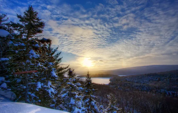 Картинка зима, снег, пейзаж, природа, озеро, рассвет, утро, ели