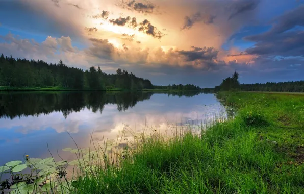 Картинка лес, небо, трава, закат, отражение, река, красиво, берега