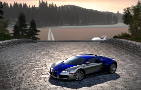 Cars, NFS Hot Pursuit 2010, Сидж, Bugatti Veyron 16.4