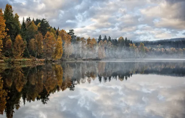 Осень, лес, деревья, озеро, утро, дымка