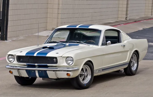 Shelby, GT350, '1965
